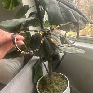 Warby Parker Tortoiseshell Cat-Eye Glasses with Yellow Accents